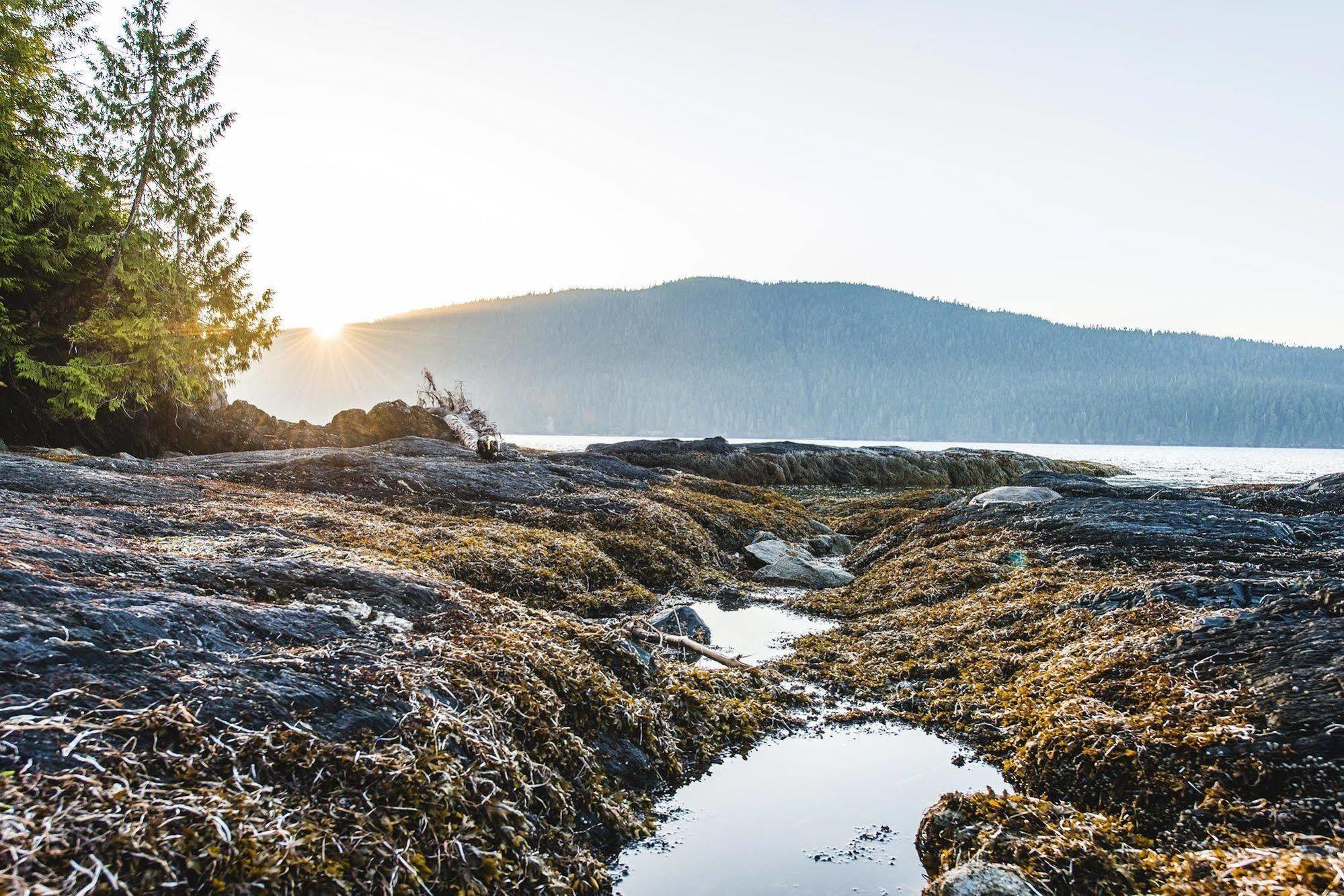 Wild Renfrew Seaside Cottages Порт-Ренфрю Экстерьер фото
