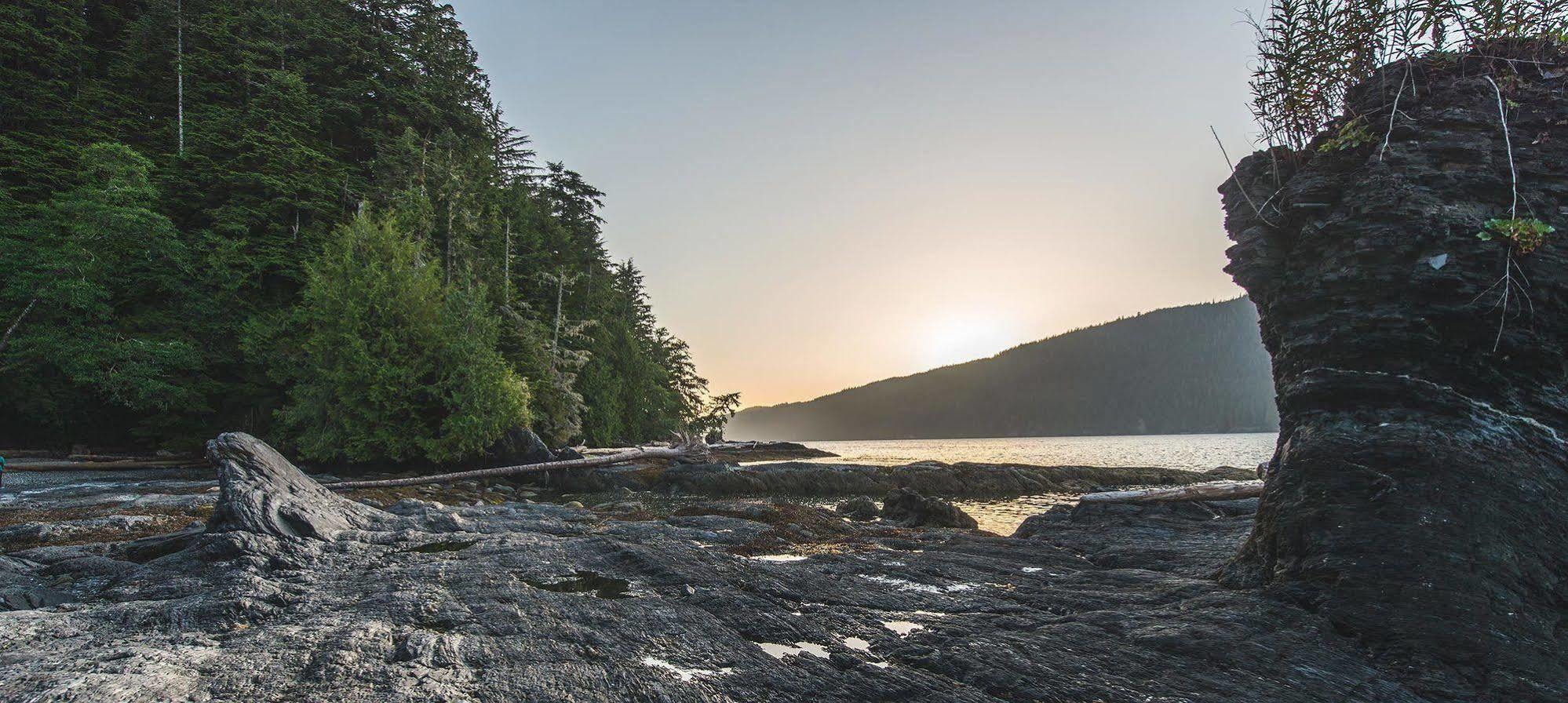 Wild Renfrew Seaside Cottages Порт-Ренфрю Экстерьер фото